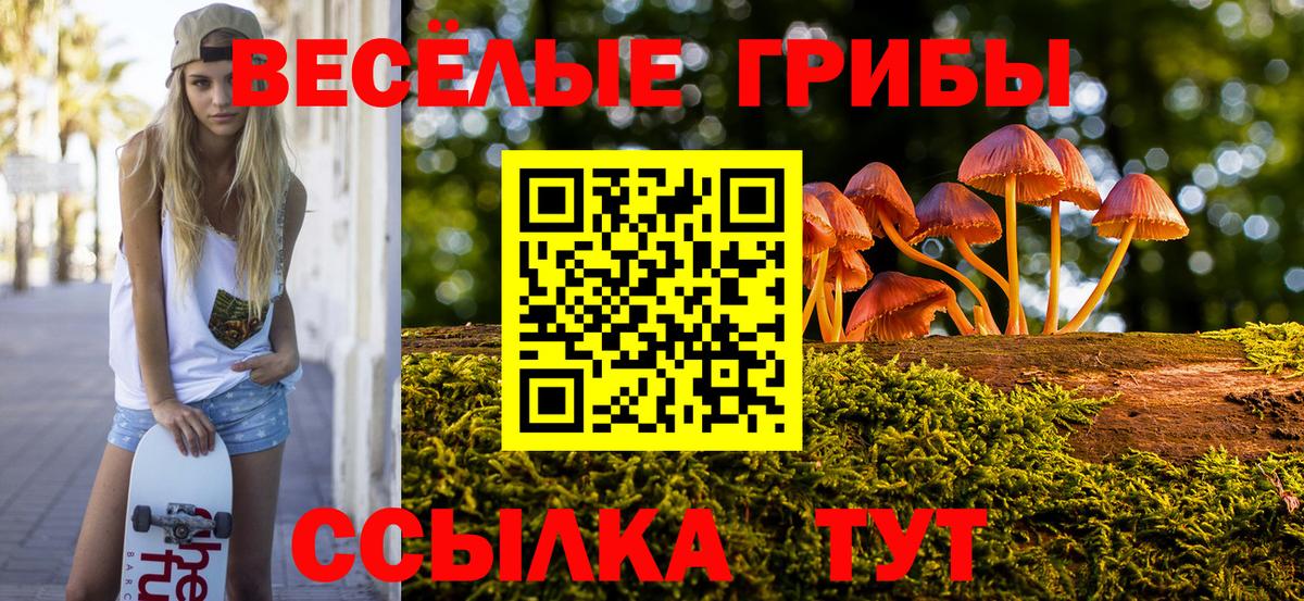 Псилоцибиновые грибы ЛСД Россия