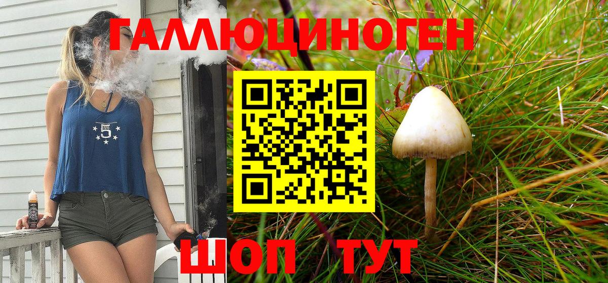 Галлюциногенные грибы Magic Shrooms  Вход с VPN  Галлюциногенные грибы GOLDEN TEACHER  Россия 
