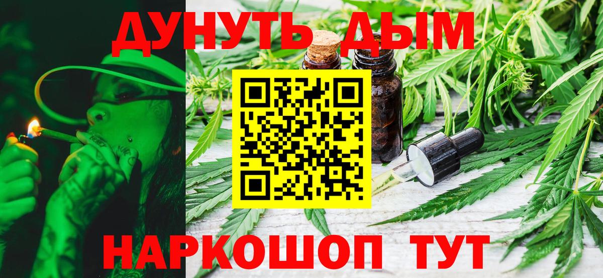 Канабис сатива Россия